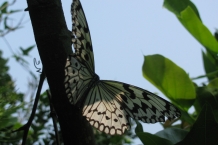 Yehliu