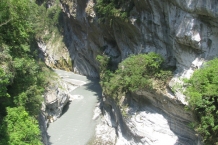 Taroko