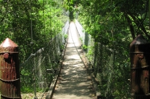 Taroko