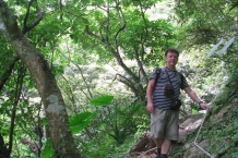 Taroko