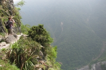 Taroko
