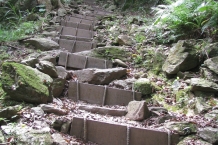 Taroko