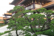 Fo Guang Shang