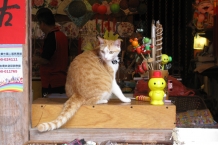 Lukang