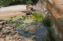 Yehliu