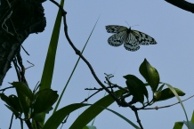Yehliu