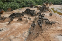 Yehliu
