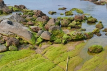 Yehliu