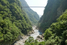 Taroko