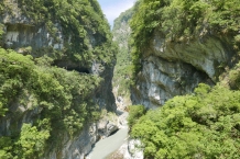 Taroko