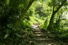 Taroko