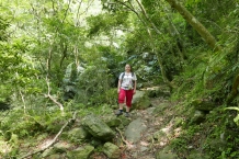 Taroko
