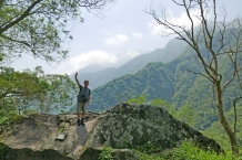 Taroko