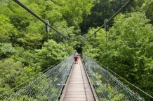 Taroko
