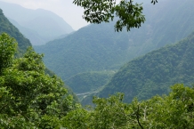 Taroko