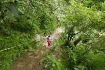 Taroko