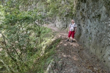Taroko