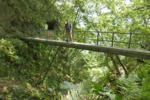 Taroko