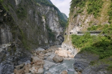 Taroko