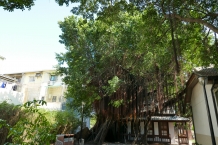 Tainan