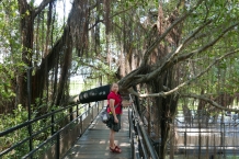 Tainan