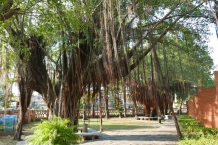 Tainan
