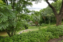 P1070871